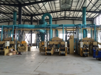 Showroom Quang Trung