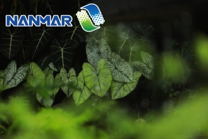 Hệ Thống Xử Lý Nước Thải Thực Phẩm, Hải Sản - Dary Food 3